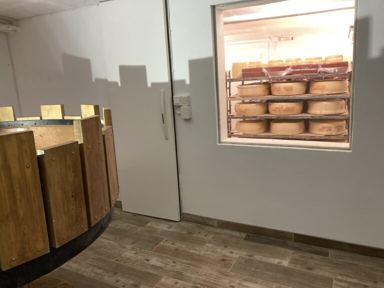 Juniorer i beredskap